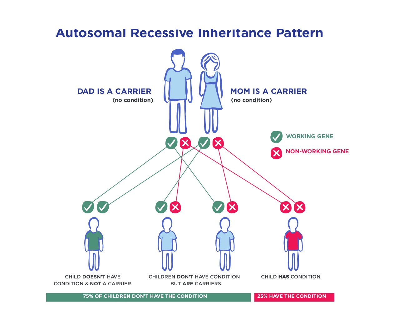 Understanding Hyperoxaluria | OHF